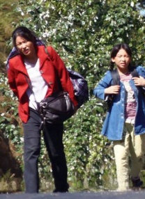 综合88